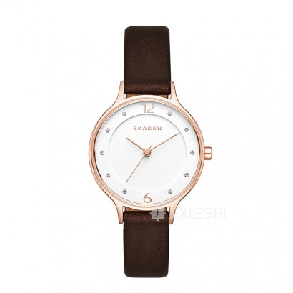 SKAGEN DENMARK 丹麥詩格恩石英女士手表SKW2472 海外本土原版