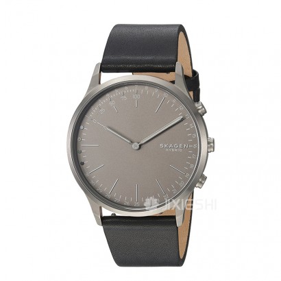 SKAGEN DENMARK Ԋ(sh)ʯӢʿֱSKT1203 ...