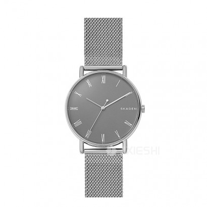 SKAGEN DENMARK Ԋ(sh)ʯӢʿֱSKW6428 ...