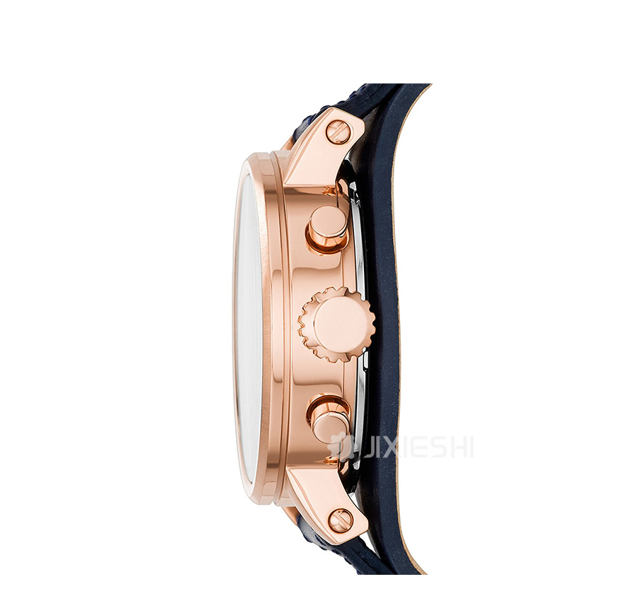 FOSSIL 美國(guó)FOSSIL石英女士手表ES3838 海外本土原版