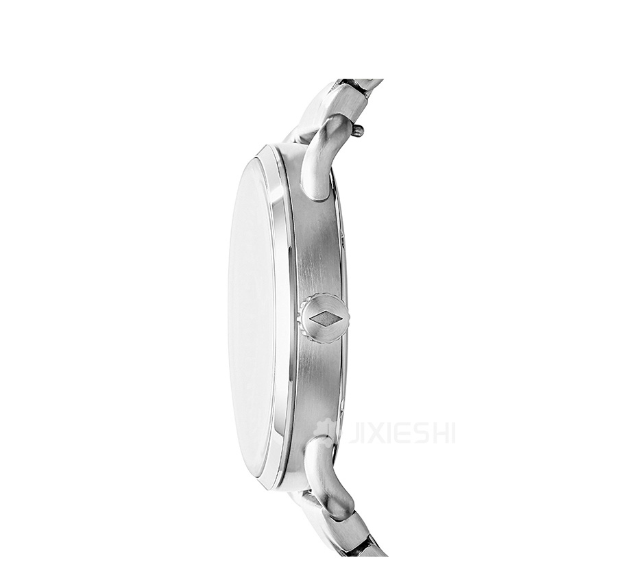 FOSSIL (gu)FOSSILʯӢʿֱFS5391 Ȿԭ